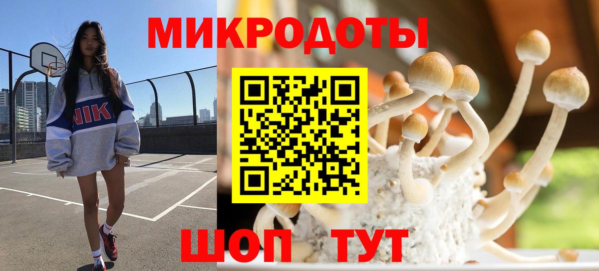 Нововоронеж  Псилоцибиновые грибы Psilocybine cubensis  Псилоцибиновые грибы Cubensis  Вход с VPN 